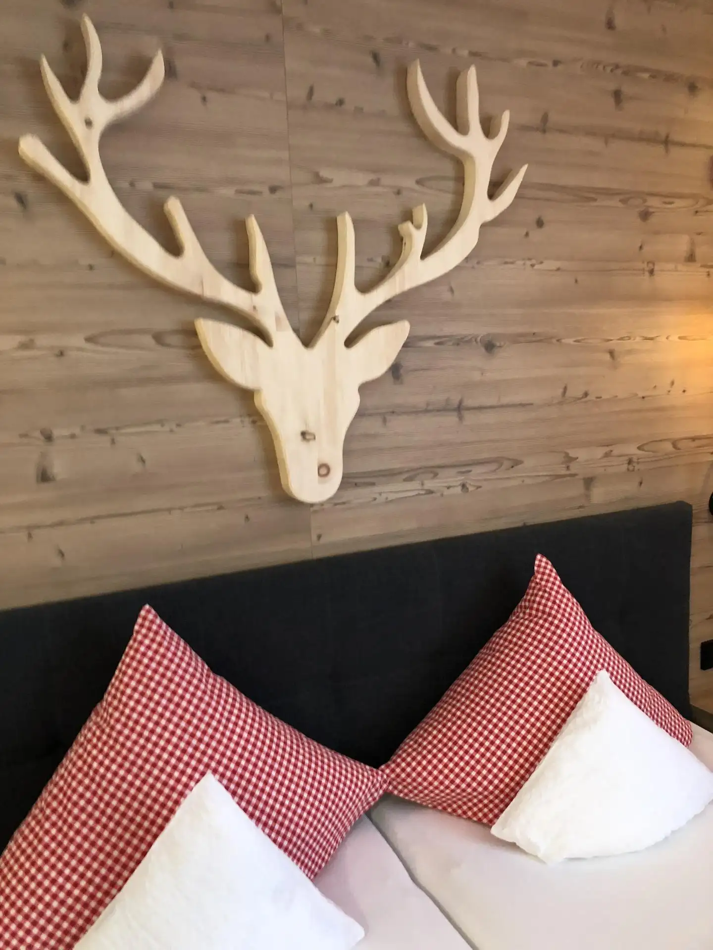 Mountain Biking Adventure