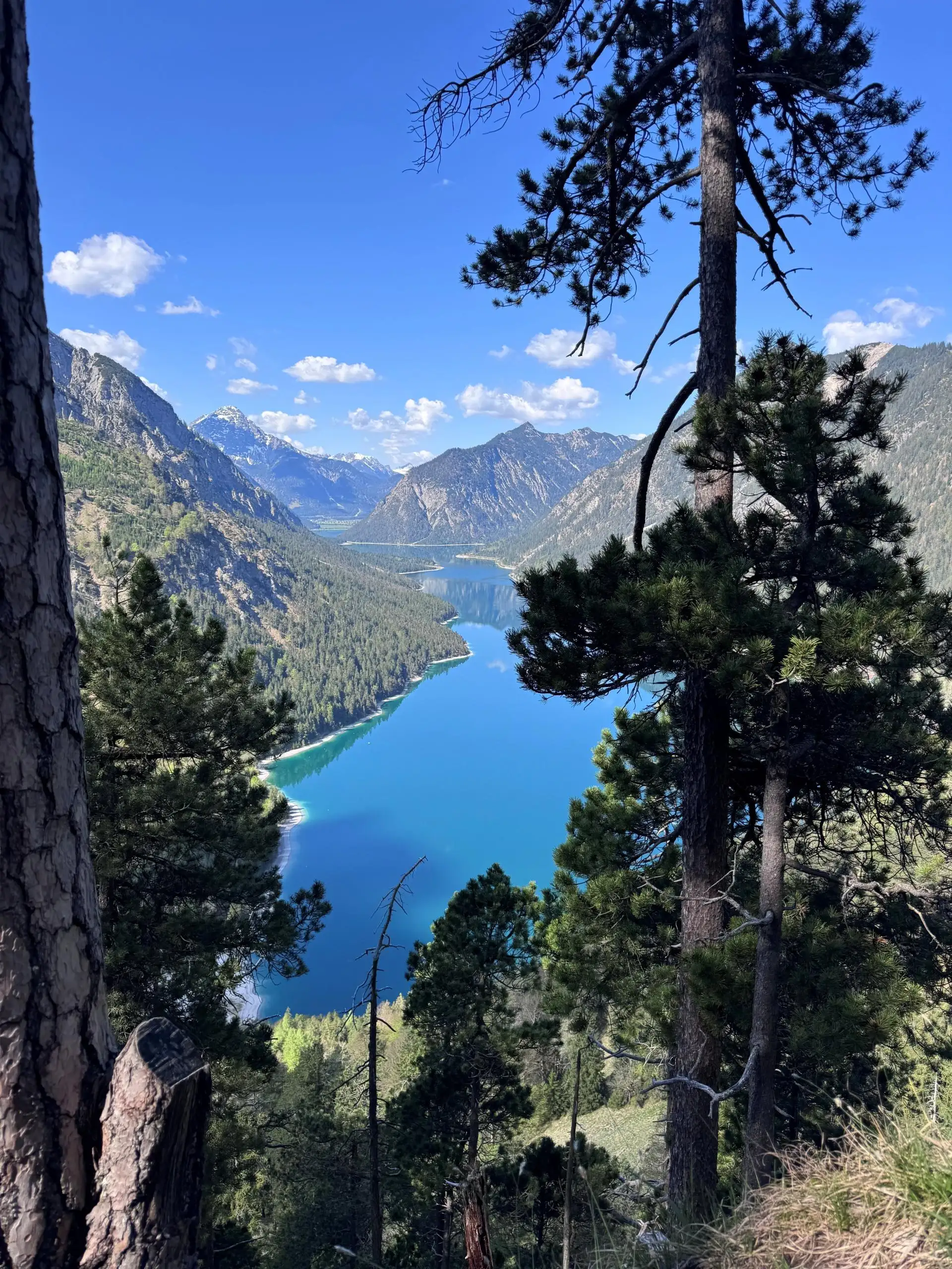 Halbpension Erwachsene