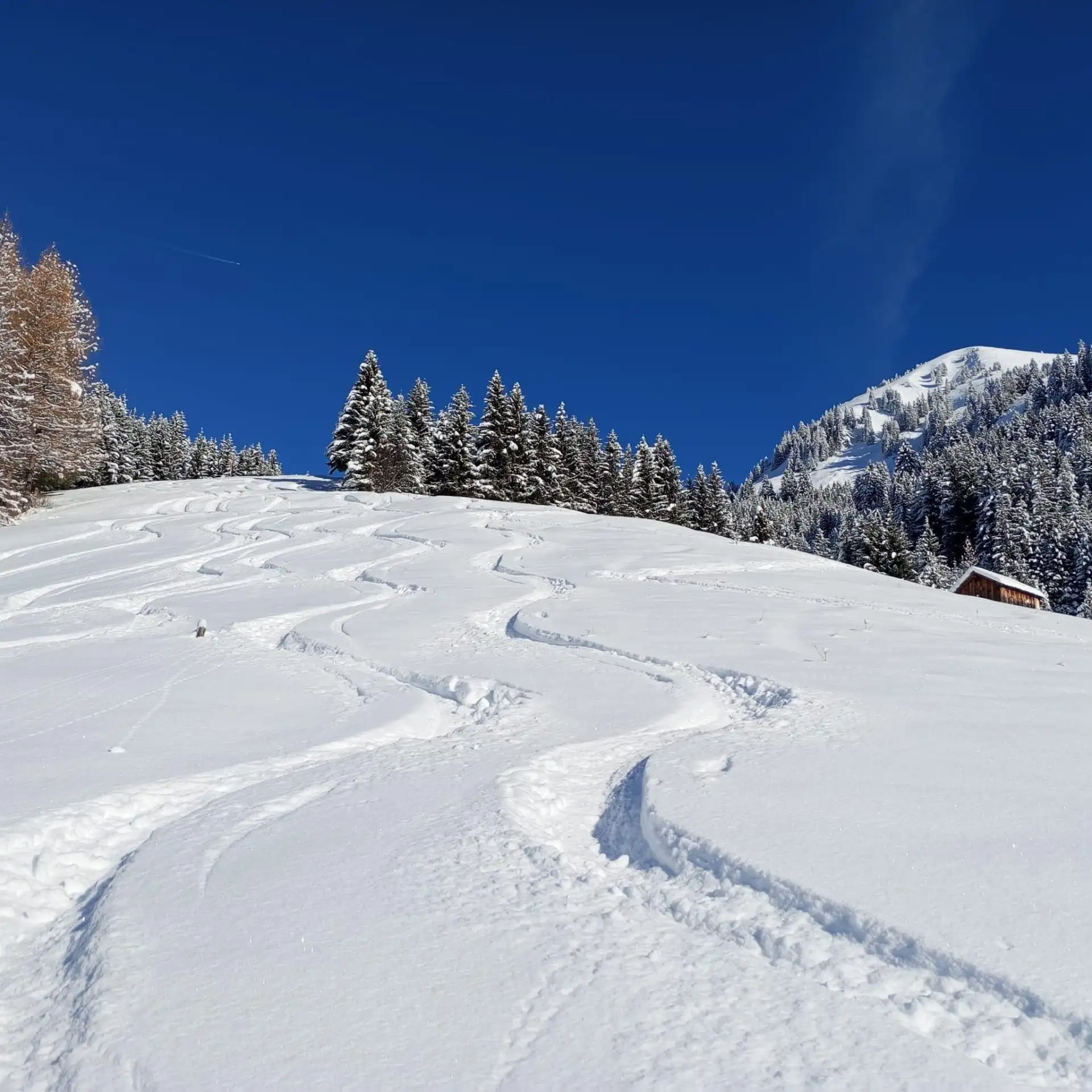 Heiterwanger Mountain Adventure